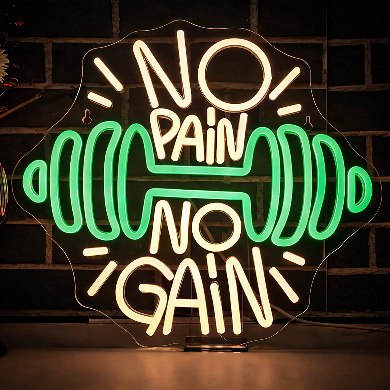 No Pain No Gain LED Neon Sign Gym Motivation Neon Light with Barbell for Fitness Wall Decor