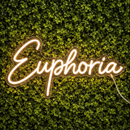 Euphoria Neon Sign LED Light Wall Decor for Bedroom Bar Party Aesthetic Room Decor